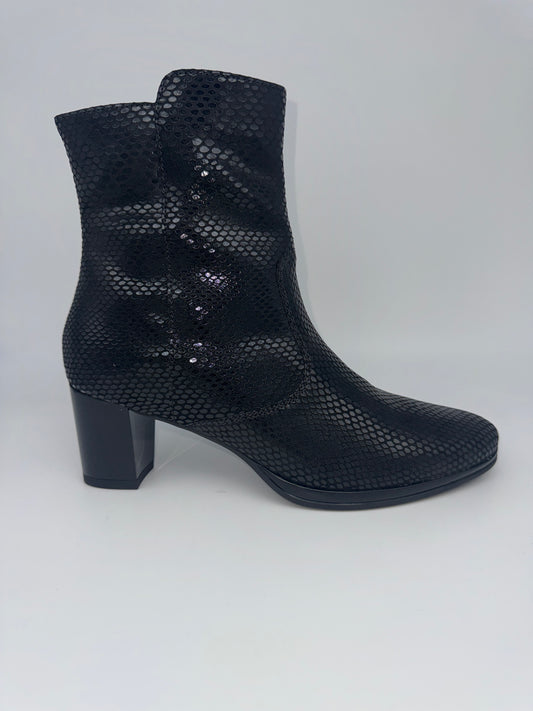 ARA- 12-23402 - S25280