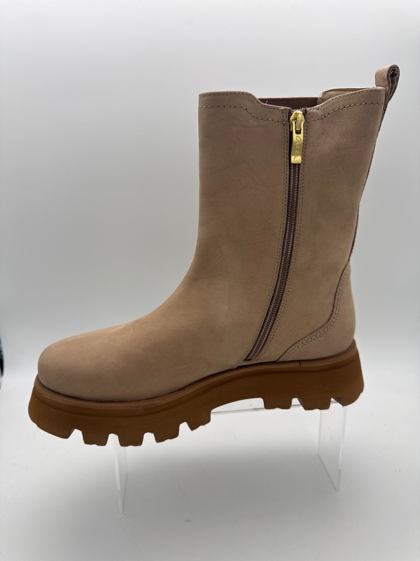 Ara 12-16727 - 06 - S25194