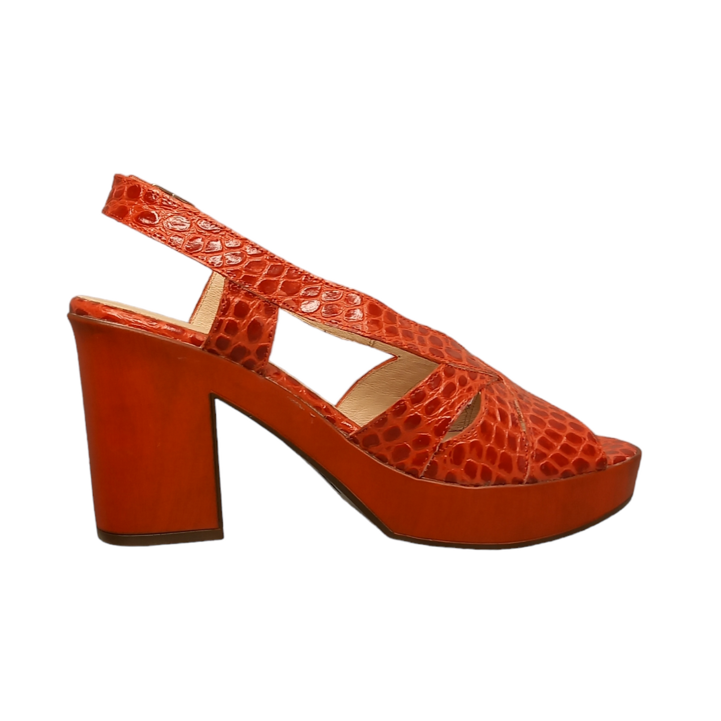 WONDERS - L9171 - S2312E