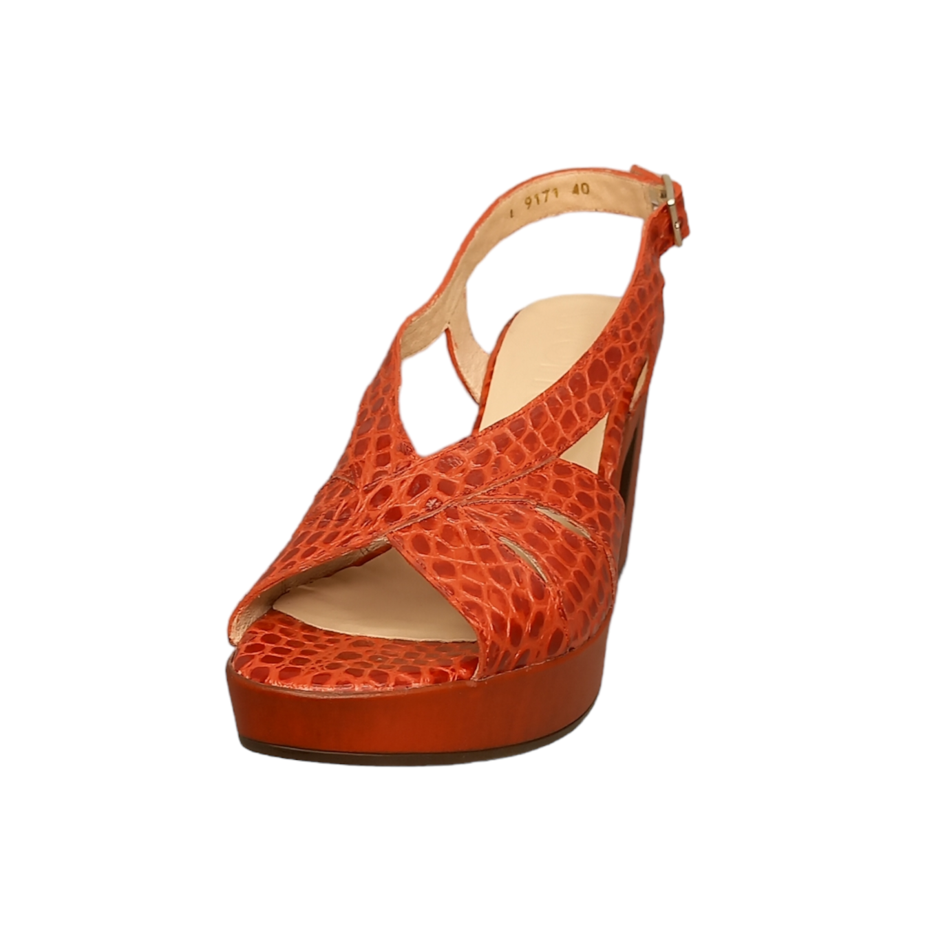 WONDERS - L9171 - S2312E