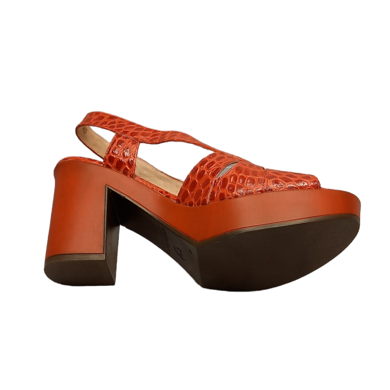 WONDERS - L9171 - S2312E