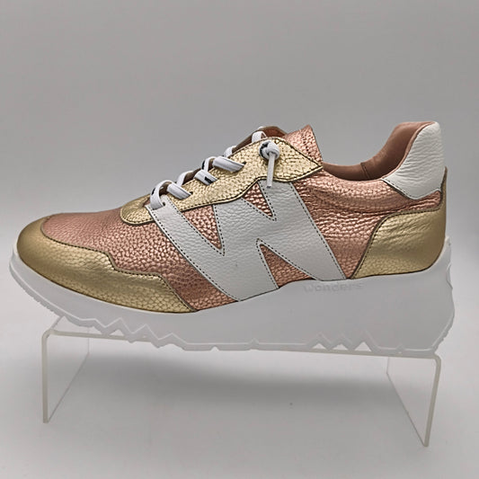 WONDERS - E6760 - S25353