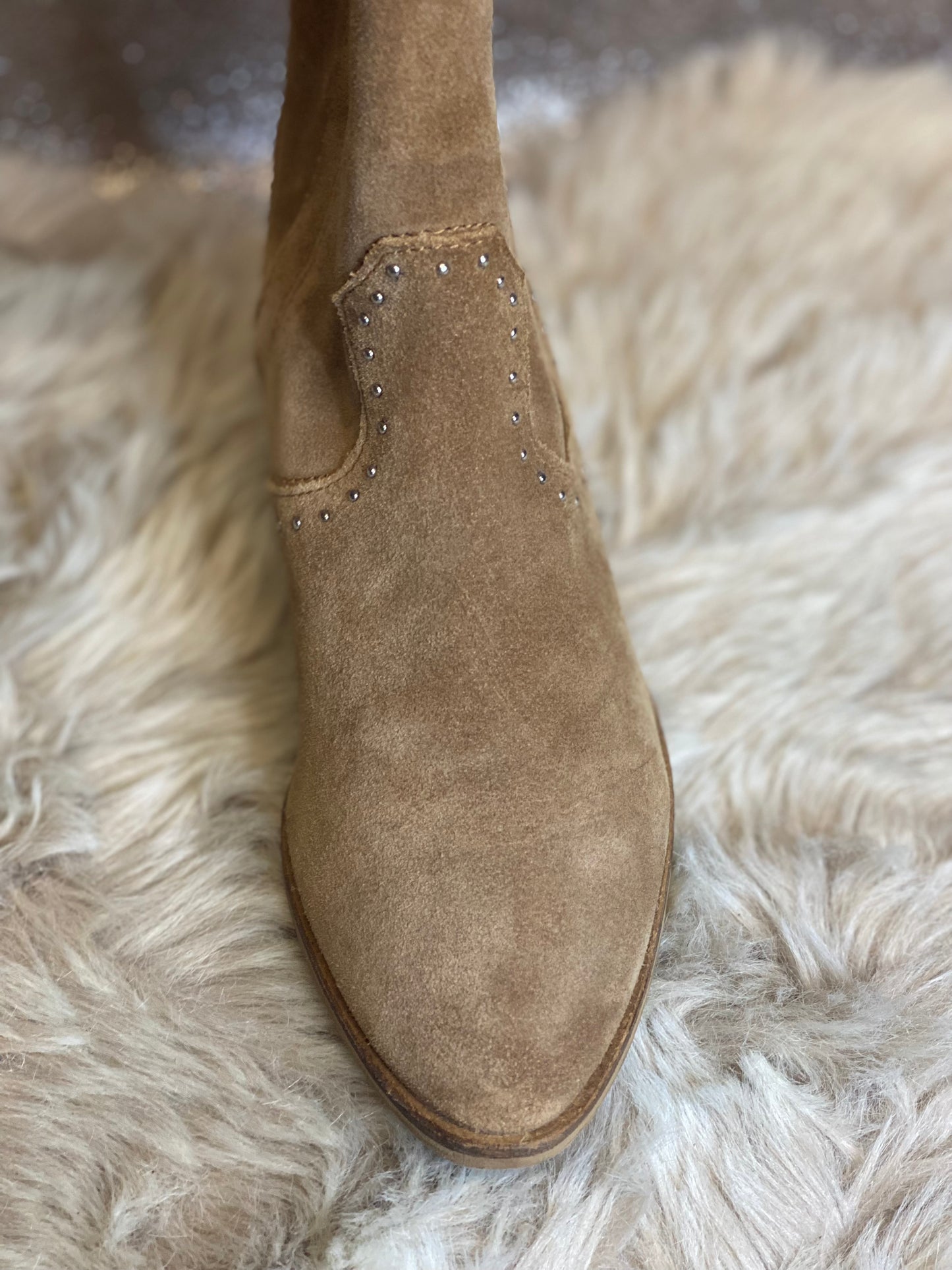 REQINS - ZOLA Clous - S25016