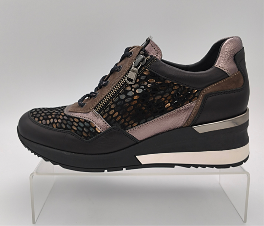 GEO REINO - SIRACUS - S25339