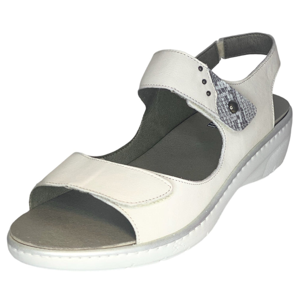FLUCHOS - F0763 - S25167