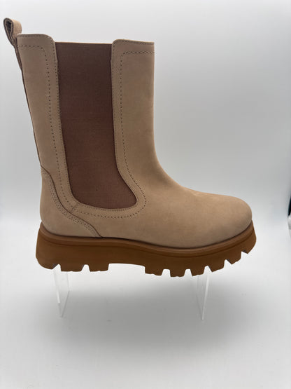 Ara 12-16727 - 06 - S25194