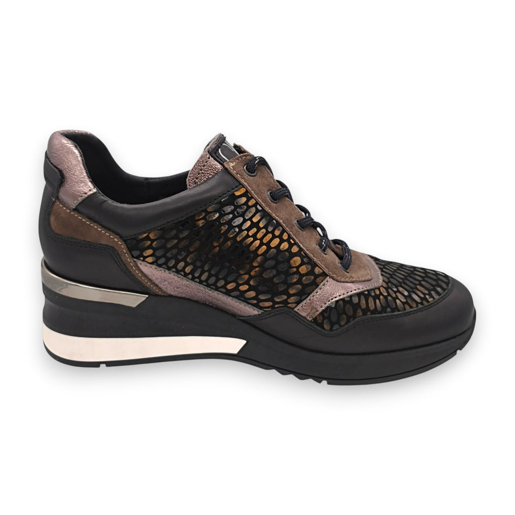 GEO REINO - SIRACUS - S25339