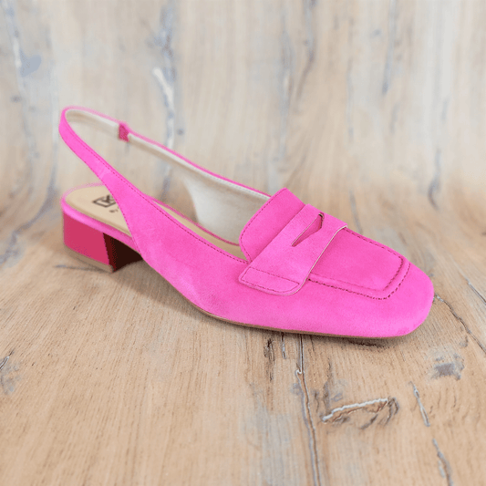 DORKING - D9305 - S25065