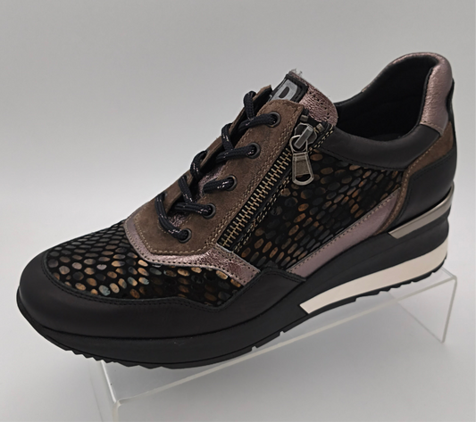 GEO REINO - SIRACUS - S25339