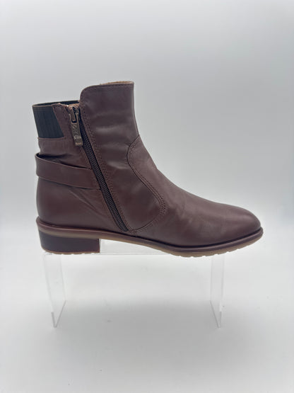 Ara 12-49514-75 - S25204