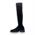 REQINS - CORALY ALCANTARA - S25002