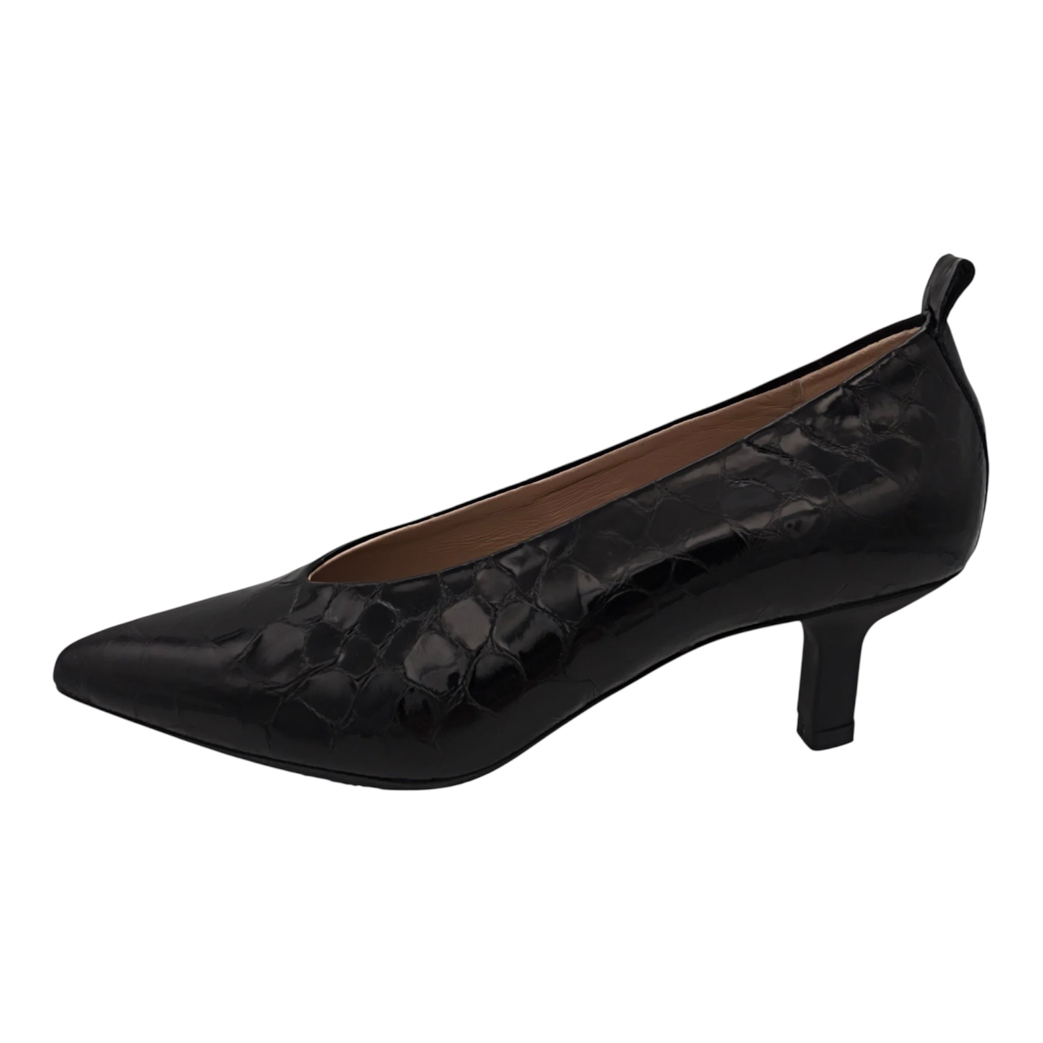 WONDERS - G-7102 - S25401