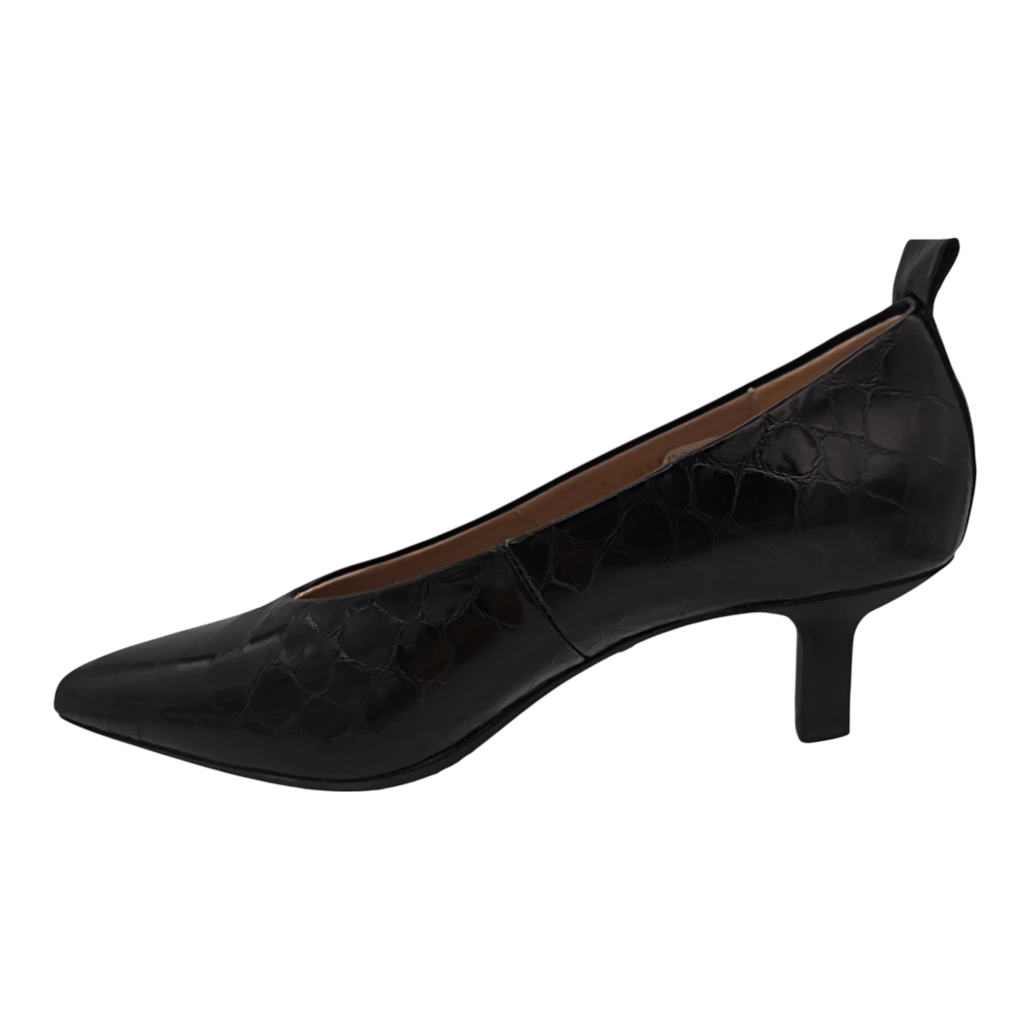 WONDERS - G-7102 - S25401