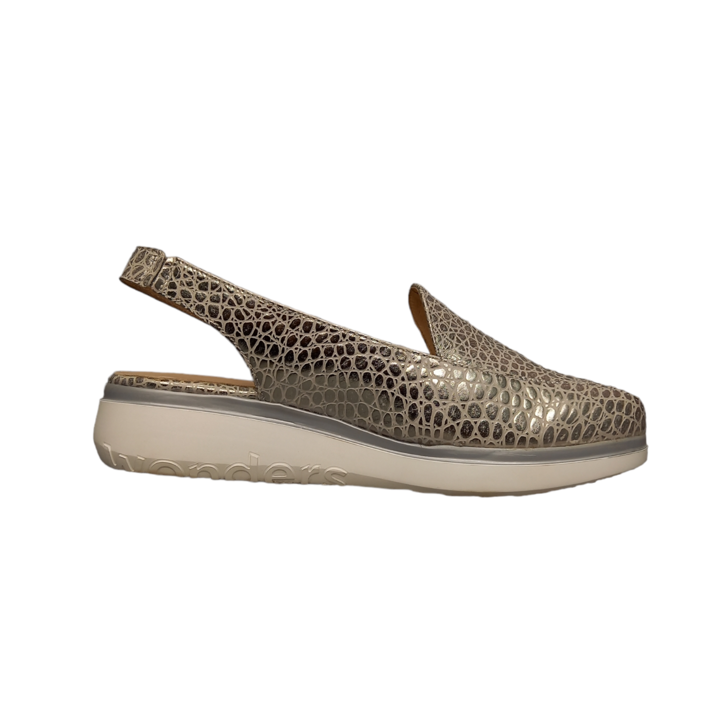 WONDERS - A-9720 - S25174