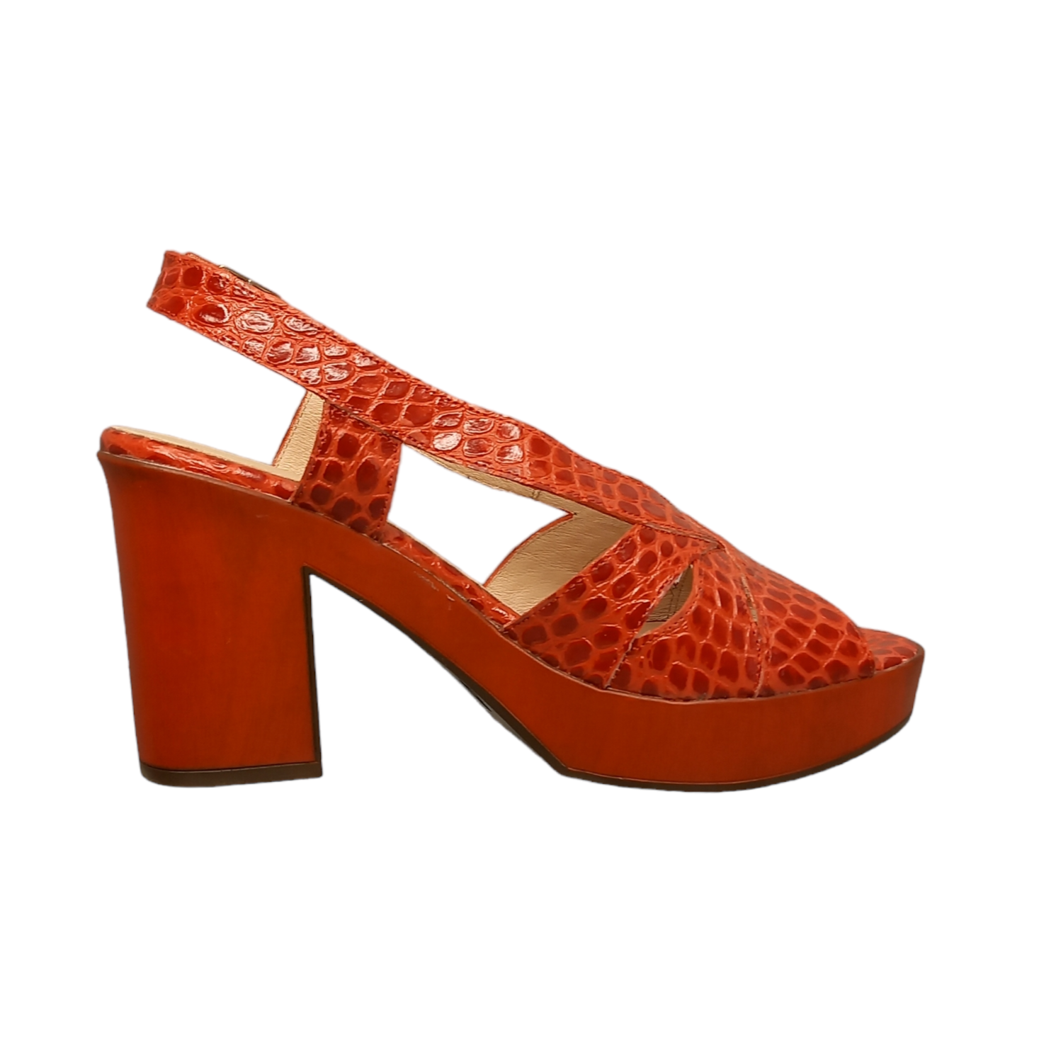 WONDERS - L9171 - S26018