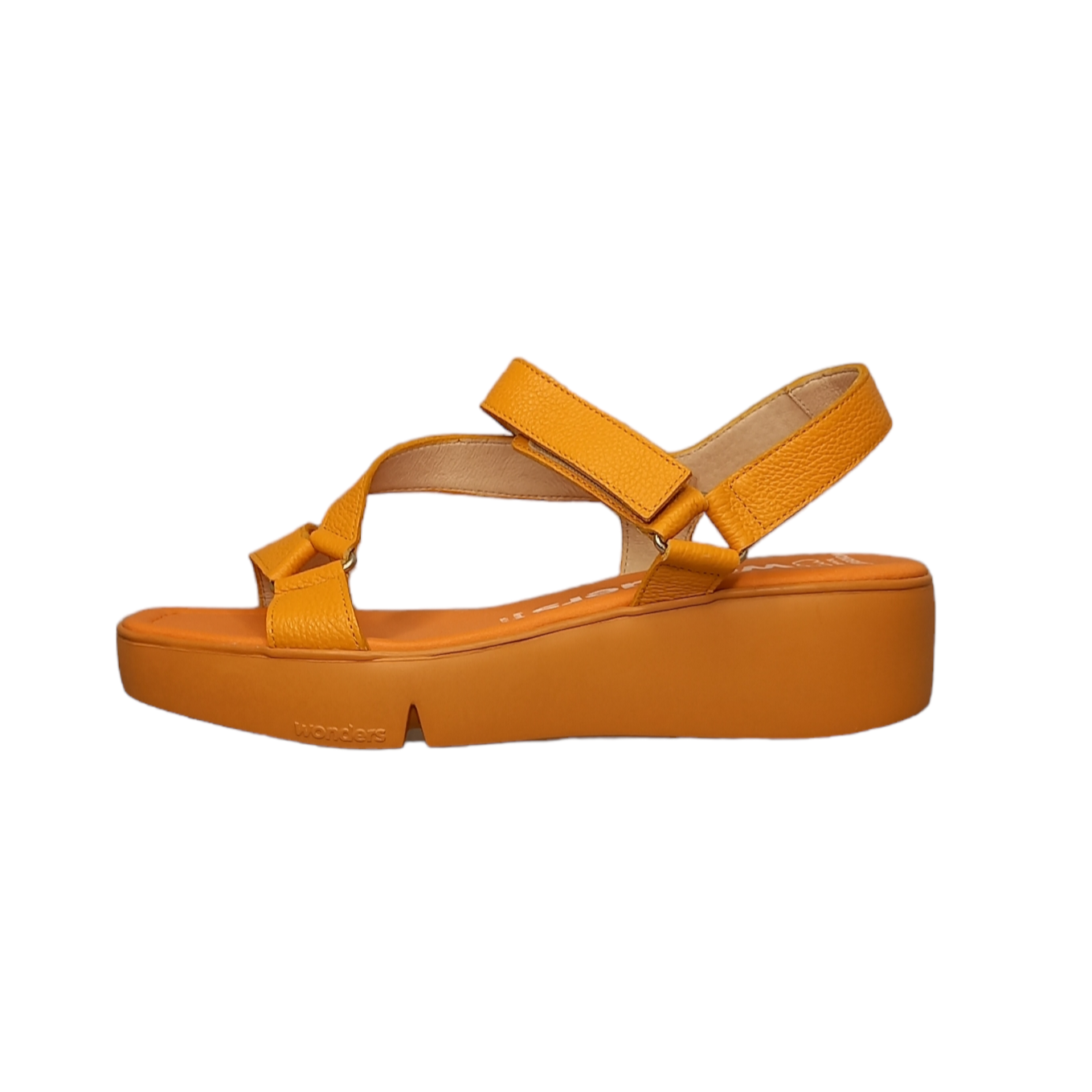 WONDERS - B-7921 - S25253