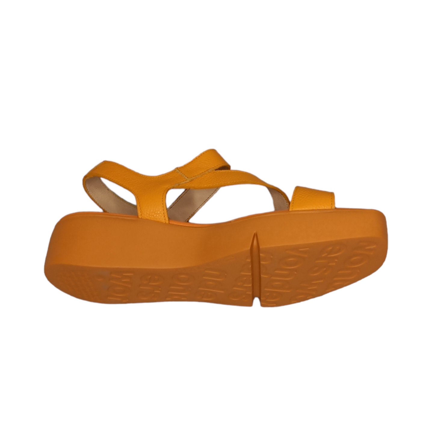 WONDERS - B-7921 - S25253