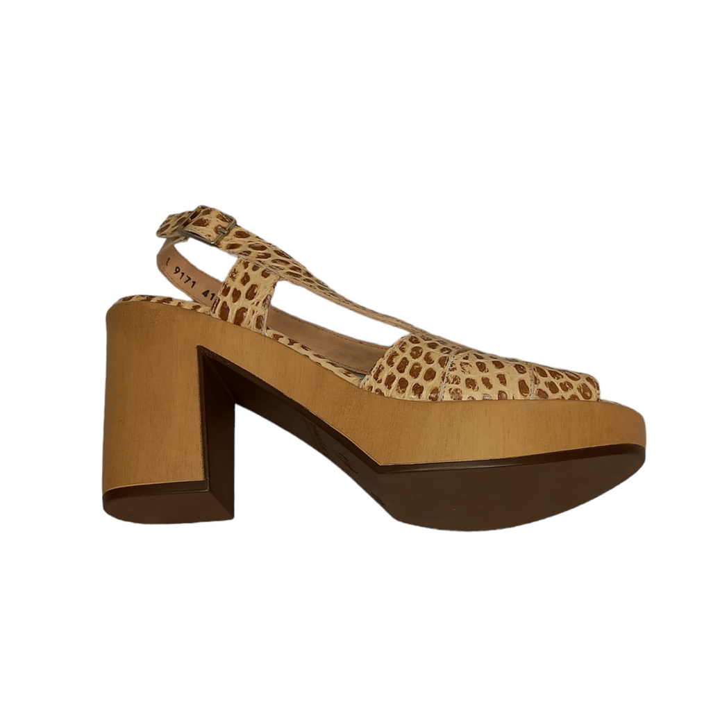 WONDERS - L-9171 - S25229