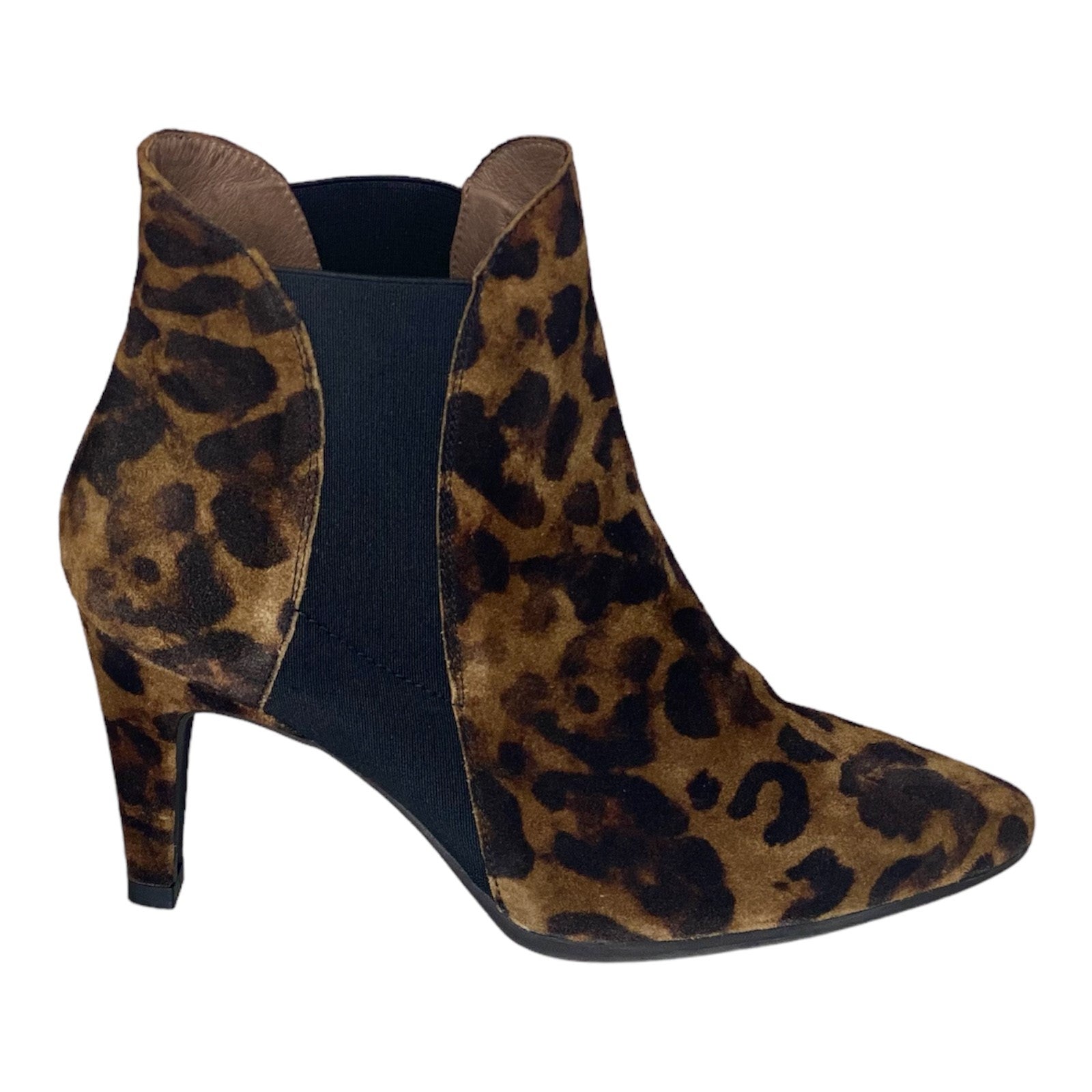 Wonders - M4252 ANTE - S25110