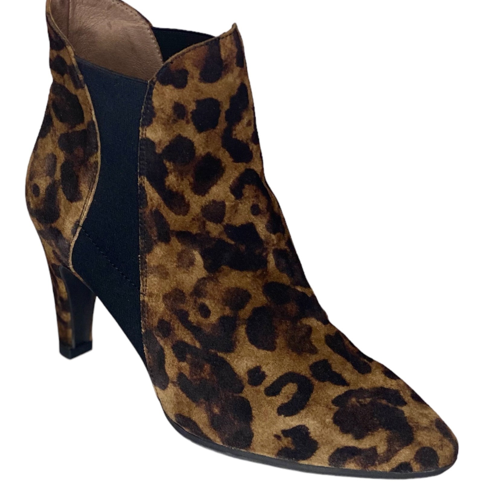 Wonders - M4252 ANTE - S25110