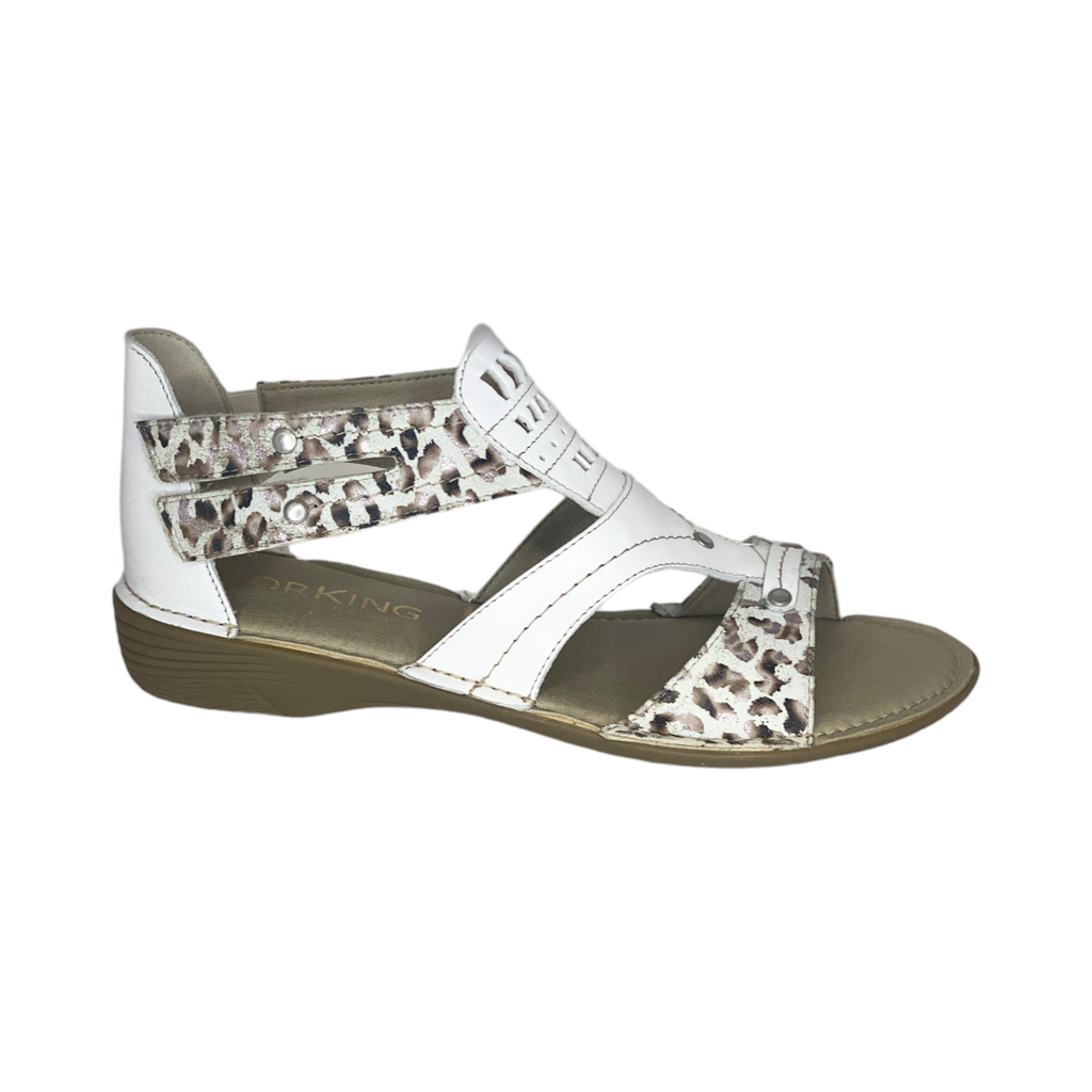 Dorking - D6769 - S25060
