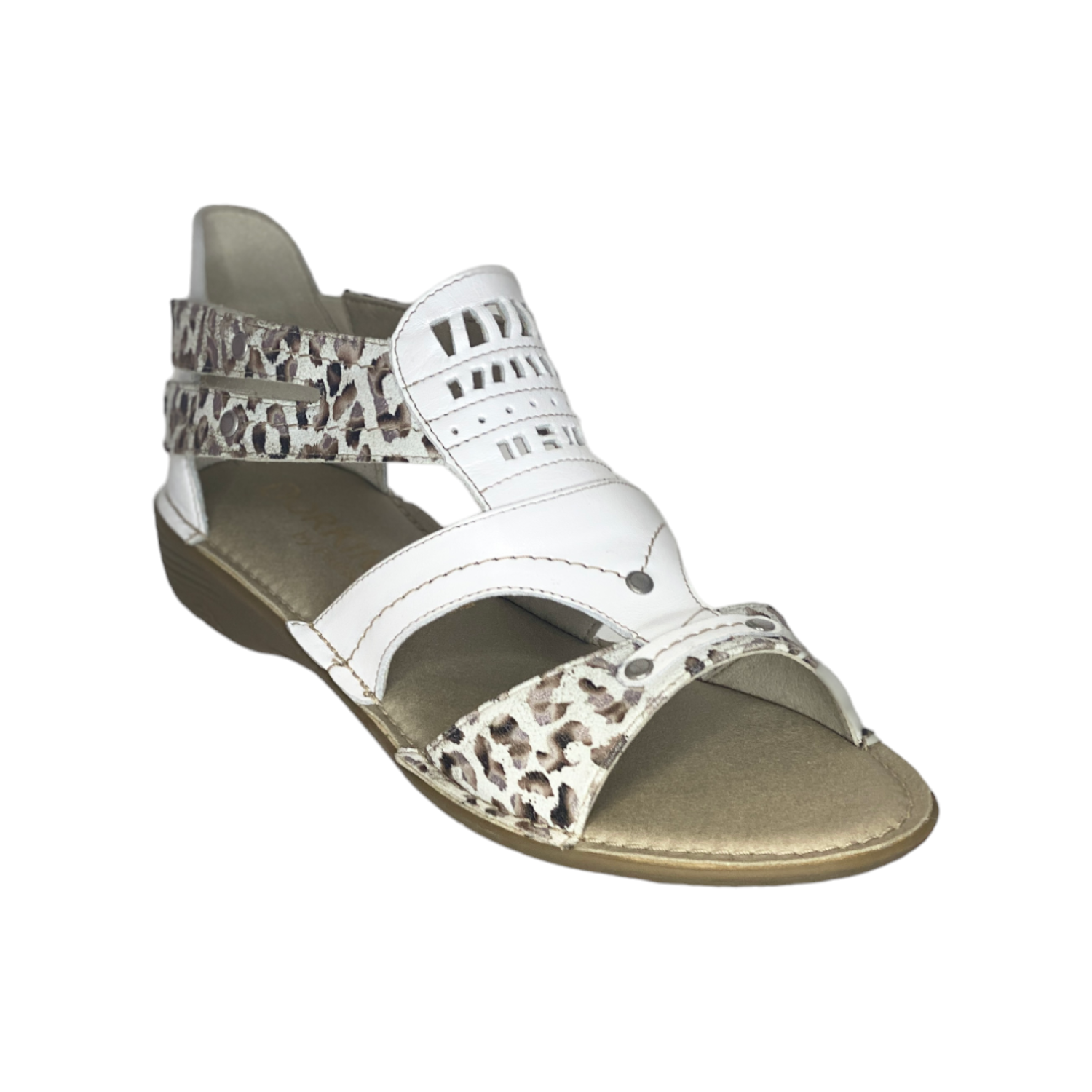 Dorking - D6769 - S25060