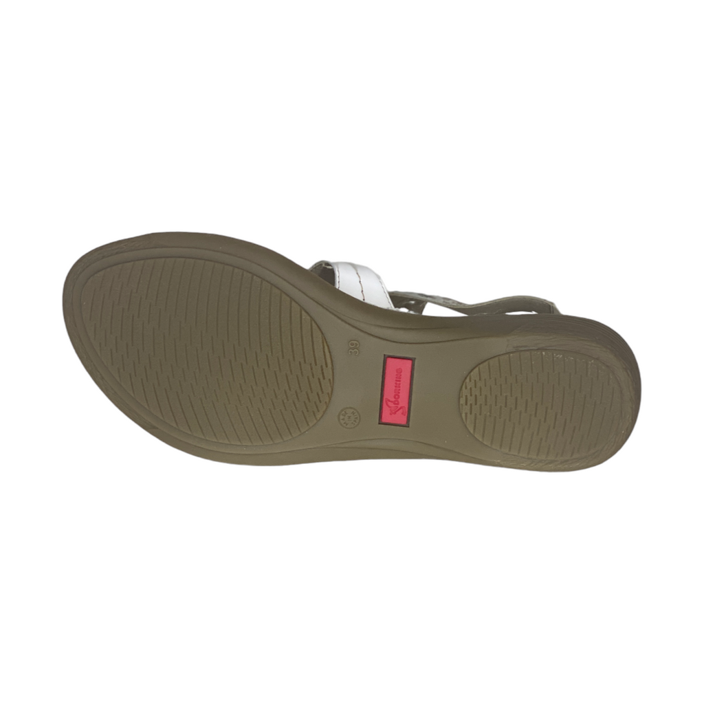 Dorking - D6769 - S25060