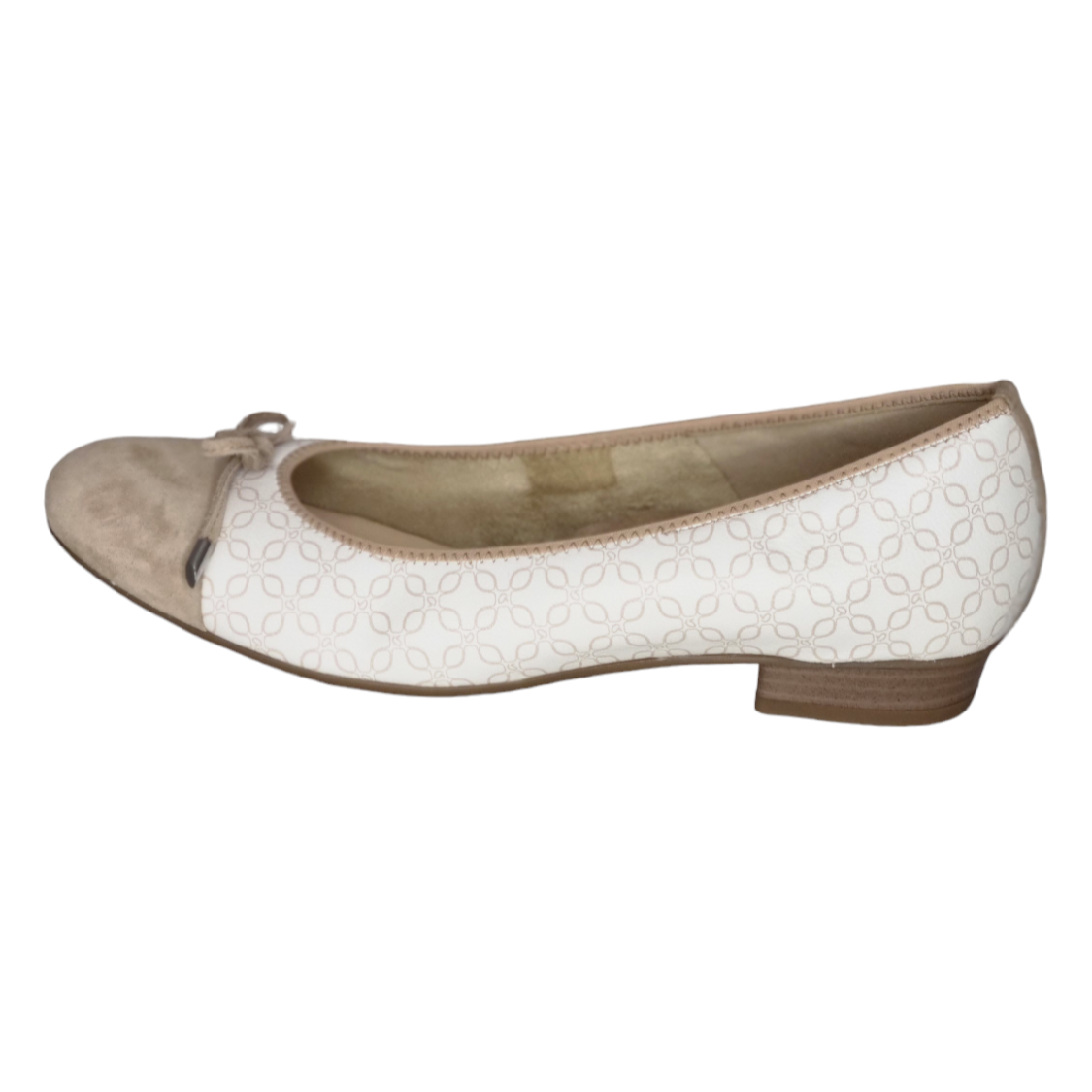 Ara - 1243721 - S24007