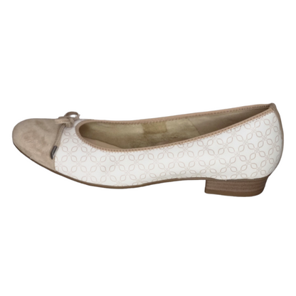 Ara - 1243721 - S24007