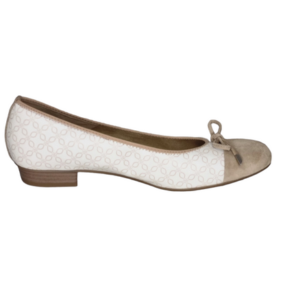 Ara - 1243721 - S24007