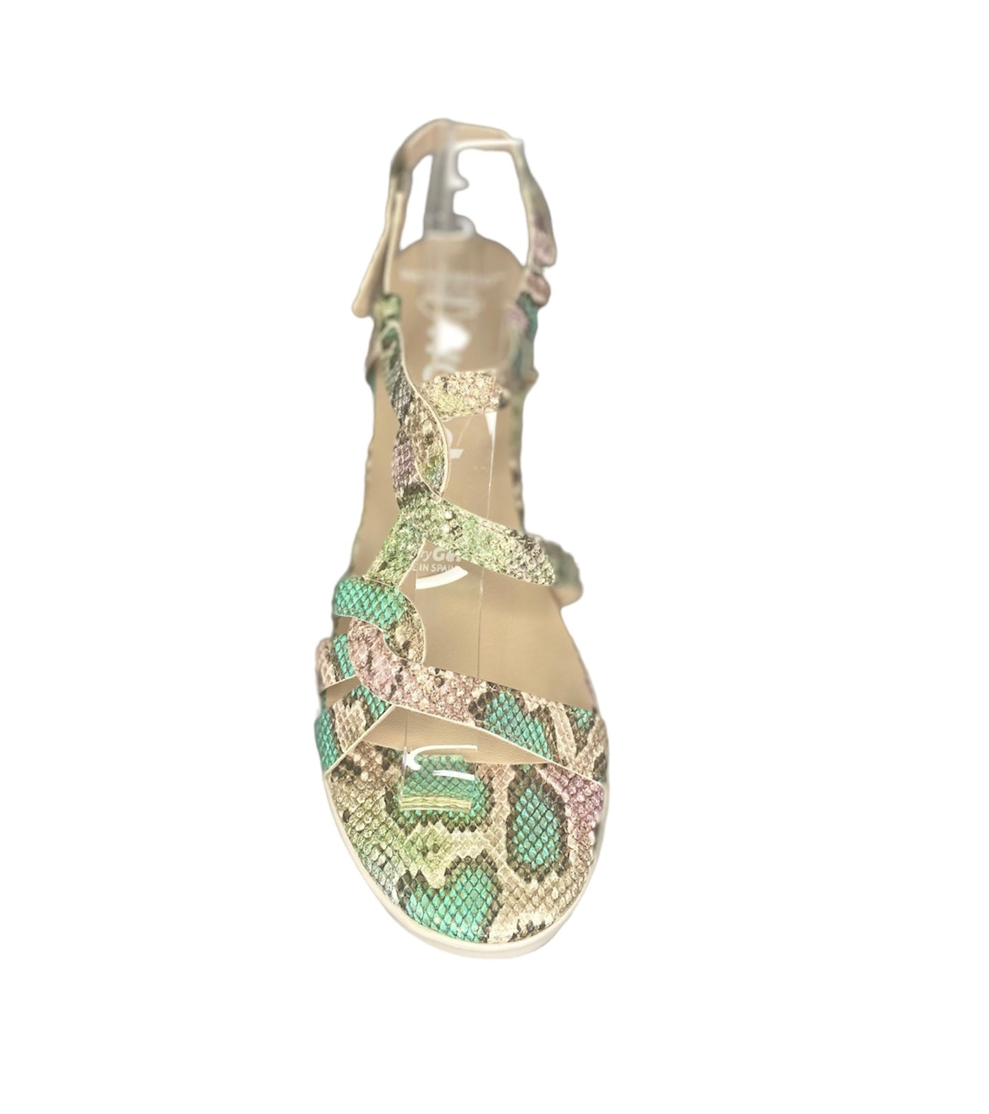 WONDERS - D8251 - S25251