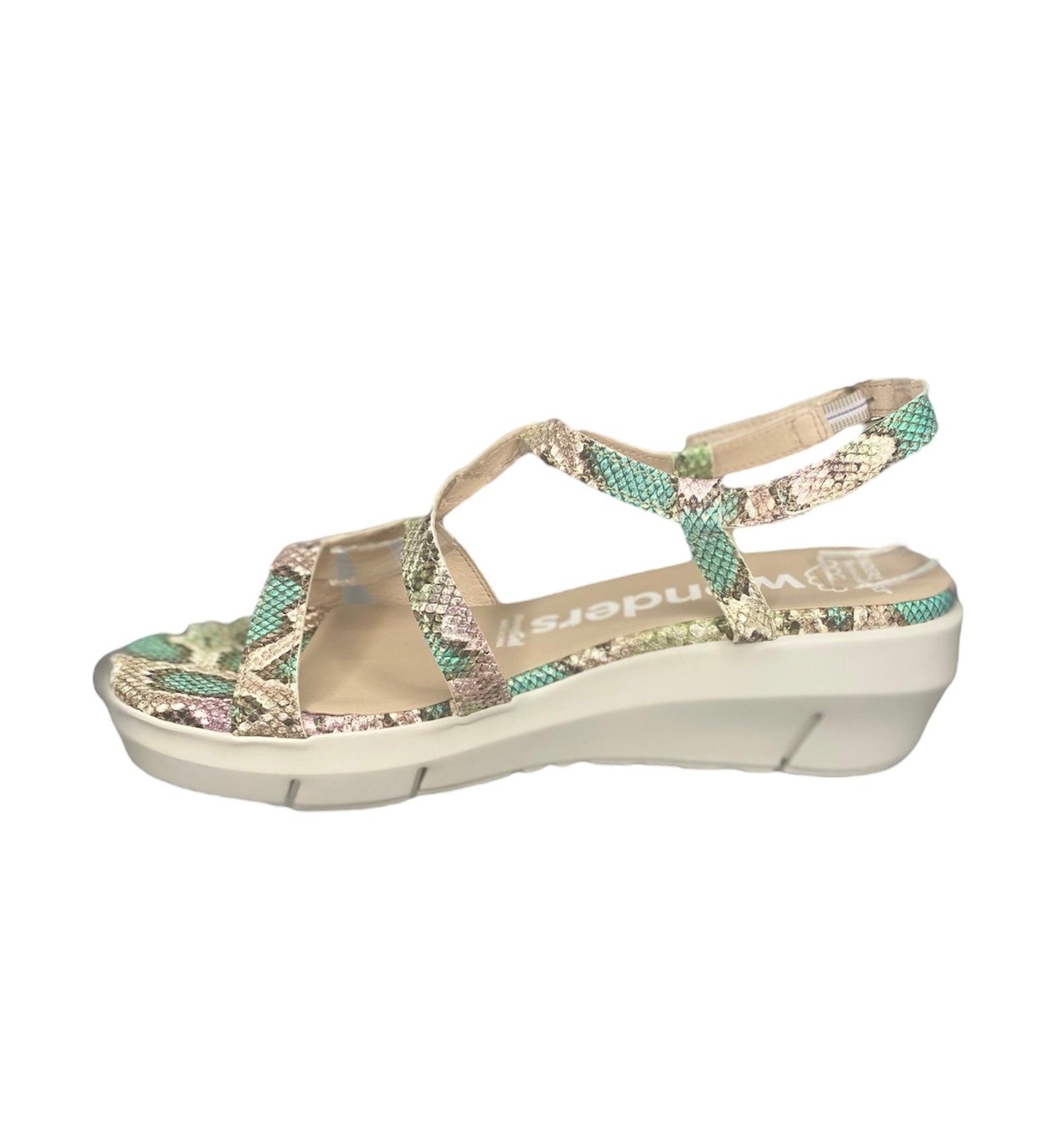 WONDERS - D8251 - S25251