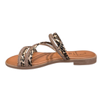 METAMORFOSE - TAJMAHAL - S25471