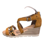 GEO REINO - RENET-E - S25509