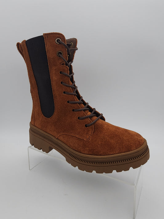 ARA -  12-23195 -  S25282