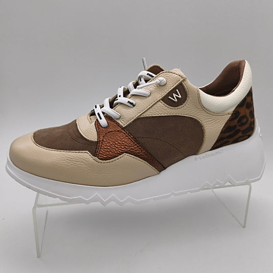 WONDERS - E-6751 - S25354