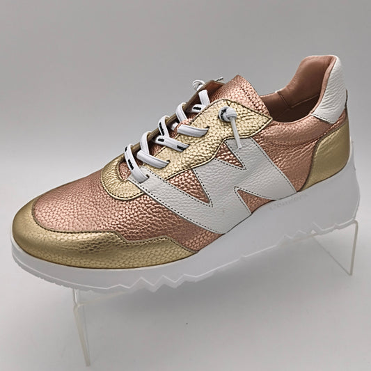 WONDERS - E6760 - S25353