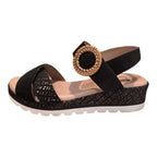 GEO REINO - MAGNABE - S25487