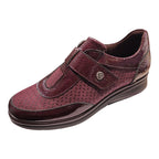 PITILLOS - 11504