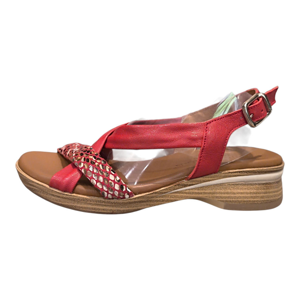PAULA URBAN - 4-5304 - S25489